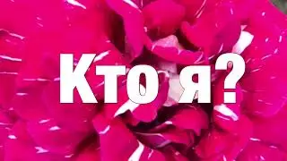 21. Я есть То. Кто Я? Нисаргадатта Махарадж