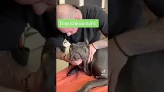 C’est incroyable  regardez jusqu’à la fin