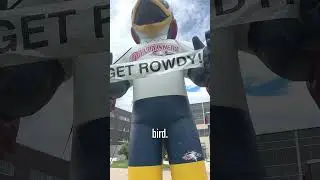 Rowdy the roadrunner is getting a brand new look! What do you think of the new designs?🐦🎨