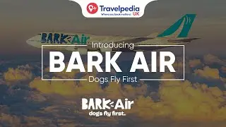Bark Air