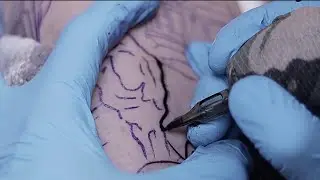 TATTOO TIME-LAPSE || Dragon Ball / Master Roshi