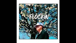 StevenKyle - Flockin'