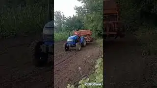 Сію люцерку посеред літа ,що буде?