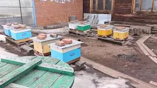 Начало сезона  выставка2023