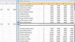 Lesson 6 - Beginners SEO Tutorial Course - Deleting Keywords