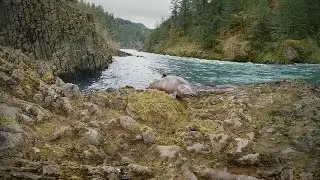 Fly Fishing in 360°