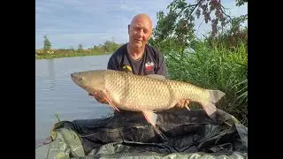 Letnie karpie i amury / Testujemy nowości Genesis Carp