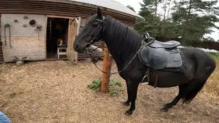 На лошадях по Налибокской пуще