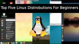 Top Five Linux Distrobutions For Beginners in 2020