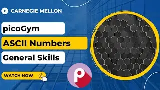 picoGym (picoCTF) Exercise: ASCII Numbers