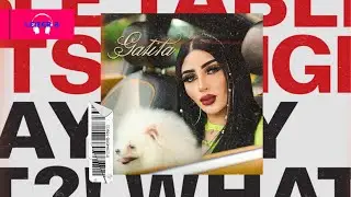 Calypso X Gatita | Leizer B Mashup