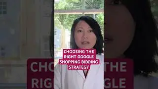 Choosing the right Google Shopping bidding strategy - what is your Shopify store goal?