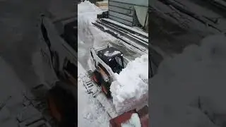 3 апреля 2024 г.