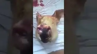 Не розстраюйся