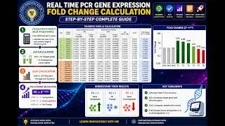 How to Analyze Real time PCR Data? | Real Time PCR Gene Expression Fold Change Calculation