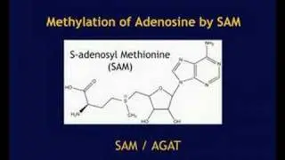 DNA Damage and Protection