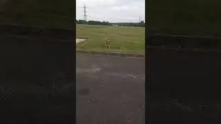 Closer than that