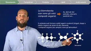 Introduction to Biological Biomolecules and Macromolecules