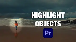 Learn How To Highlight Objects in Premiere Pro | Quick Tutorial