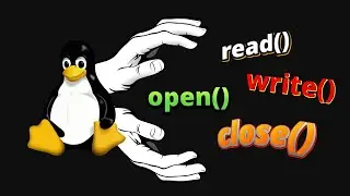 Everything You Need to Know About Files in Linux