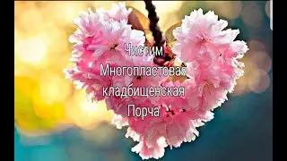 ЧИСТИМ МНОГО ПЛАСТОВАЯ КЛАДБИЩЕНСКАЯ ПОРЧА