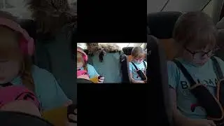 полное видео на канале #семейныйканал #cat #отпуск #дорога