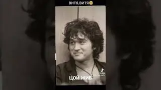 #цой