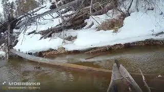 Еще  этой весной