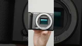 5 Budget Cameras Under $500… Part 5 🔥