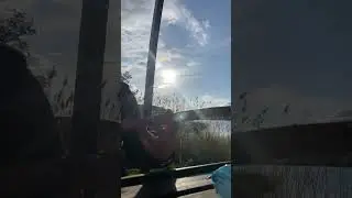 Adem Demirci - Hazalım Cover Yeniiiii 2024