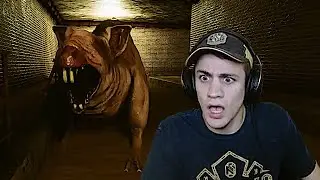 MY FRIEND AND I WENT TO THE BACKROOMS SEWERS!