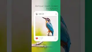 Instagram frame green screen background | Insta like green screen 