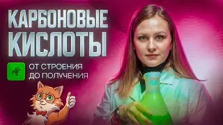 Карбоновые кислоты: от строения до получения [24] Органика С НУЛЯ | Химия для 10 класса и ЕГЭ-2025
