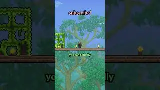 the EASIEST mushrooms biomes