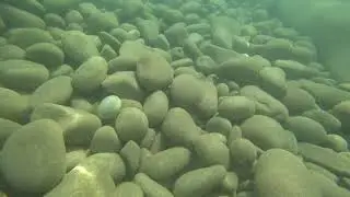 Видеофон Черное море Под водой