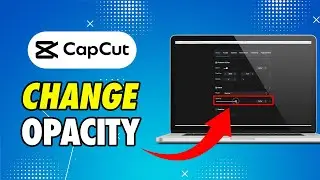 How to Change Opacity On CapCut PC