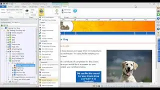 How to Publish a SCORM Compliant Lectora Course to an LMS
