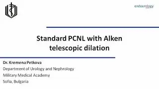 Standard PCNL with Alken telescopic dilation.