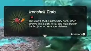 snapping turtle penetrates lewd crab