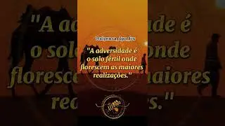 #frasesmotivadoras #pensamento #alto #dpn  #alpensa