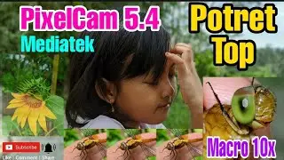 Review PixelCam 5.4 Versi Mediatek Google Camera Terbaik Potret Siang