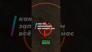 Как мы запомнинпем все вокруг нас?🧐#наука #научпоп #топлес #янтоплес #память #как #shorts #short