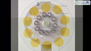 Wind Turbine [ITAC Scarabelli Ghini]