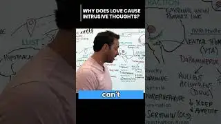 Why Does LOVE Cause Intrusive Thoughts?