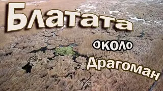 Блатата около Драгоман.