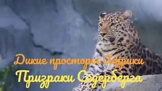 Дикие просторы Африки.Призраки Седерберга.