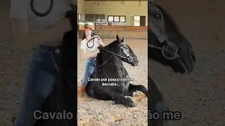Cavalo me derrubou 