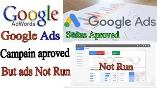 Google Adwords Campaign Status Approved But Not Run My Ads