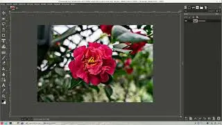 Gimp Eğitimleri - 42 Resim Kalitesi Artırma