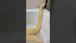 Мама и ребёнок